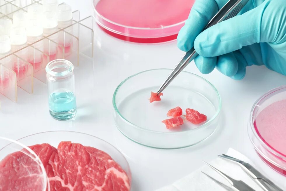 Shutterstock - lab grown meat