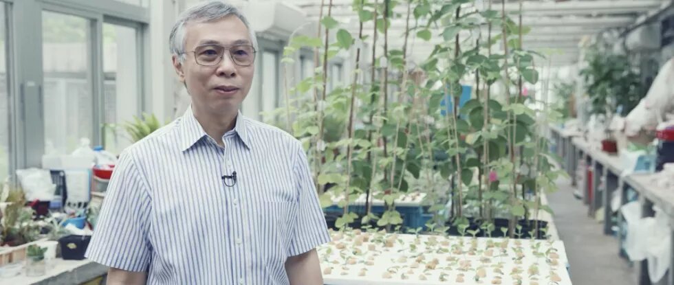 Prof Lam Hon-Ming from the Chinese University of Hong Kong is researching soybean varieties tolerant to drought and salinity since 2010.